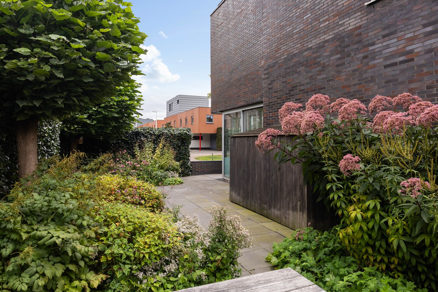 Photo 19 of Klifrakplantsoen 48