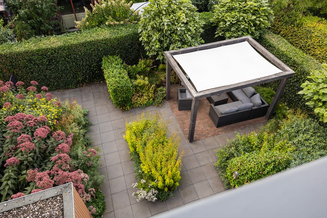 Photo 22 of Klifrakplantsoen 48