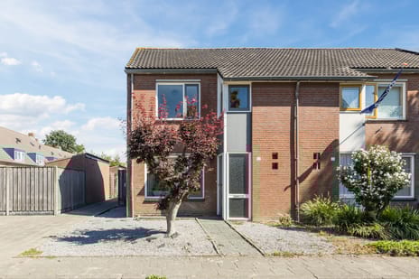 undefined main image