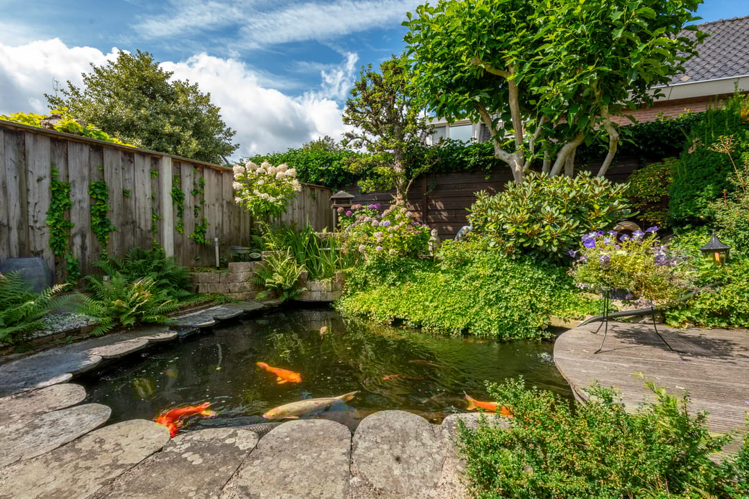 Foto 28 van Schippersstraat 6