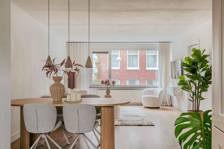 Foto 12 van Hemonystraat 32-E