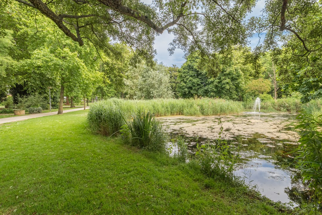 Foto 28 van Jan de Wittestraat 36