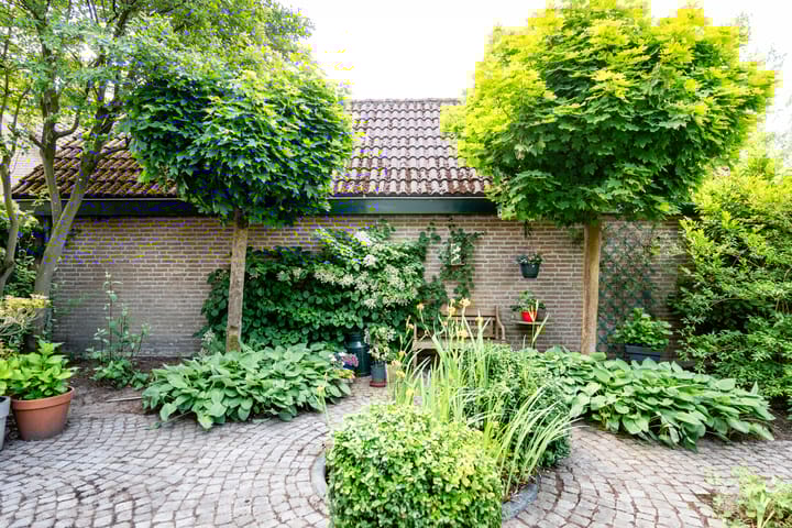 Foto 57 van Donkbeemd 29