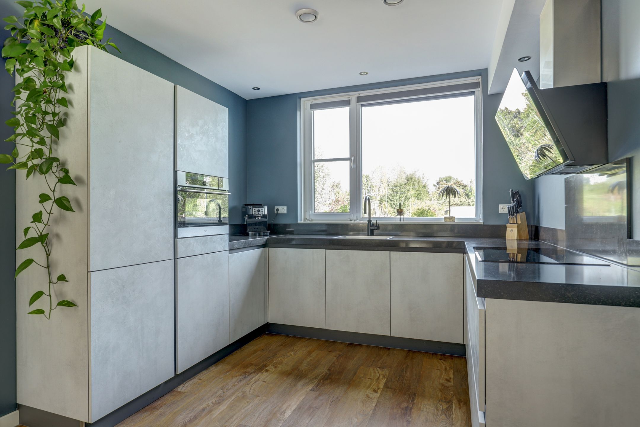 Foto 6 van Pimpelmees 23