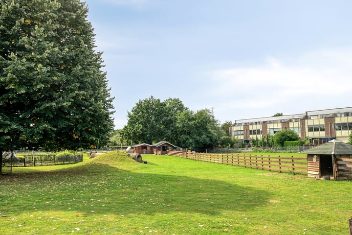 Foto 3 van Het Zwanevlot 277