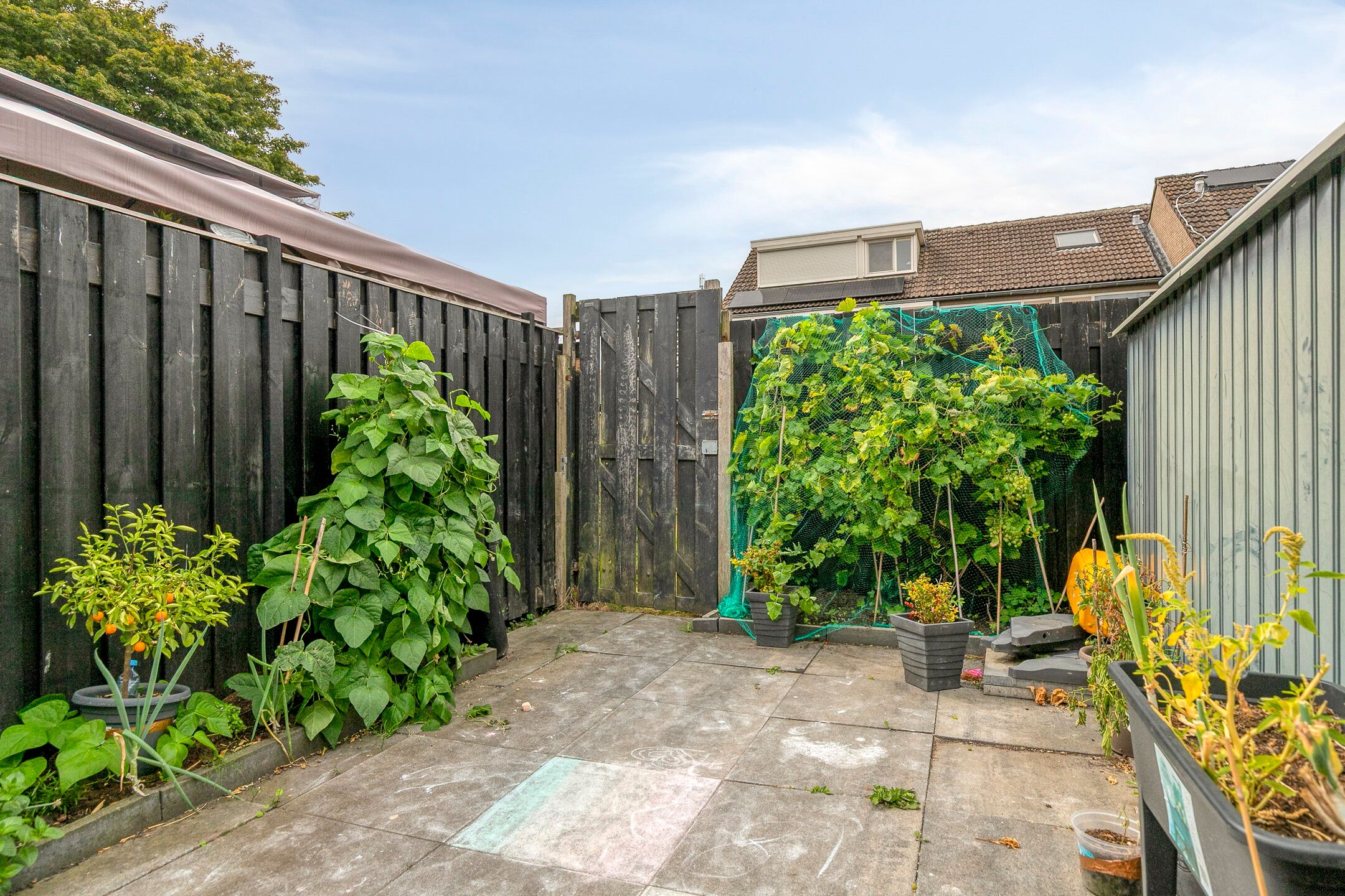 Foto 30 van Elisadonk 159