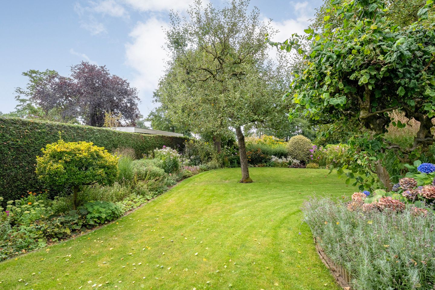 Foto 65 van de Hilde 78