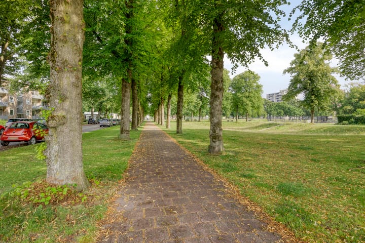 Foto 43 van Meerstraat 101