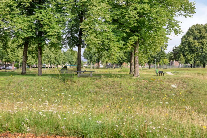 Foto 45 van Meerstraat 101