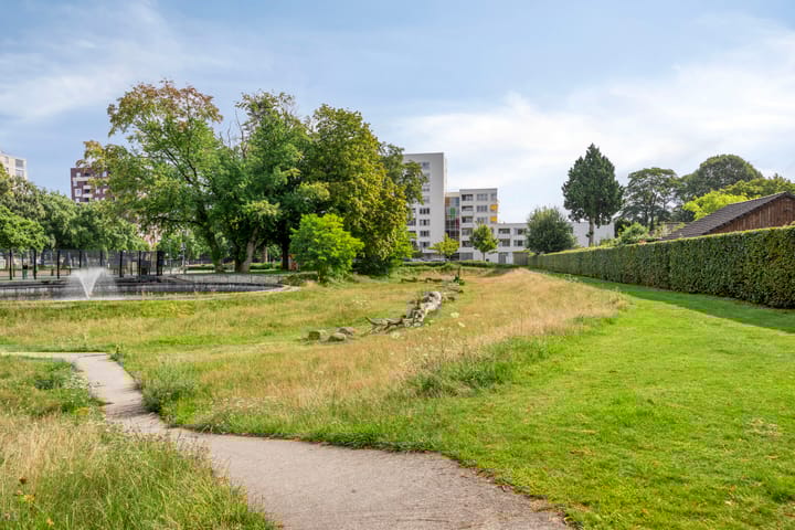 Foto 46 van Meerstraat 101