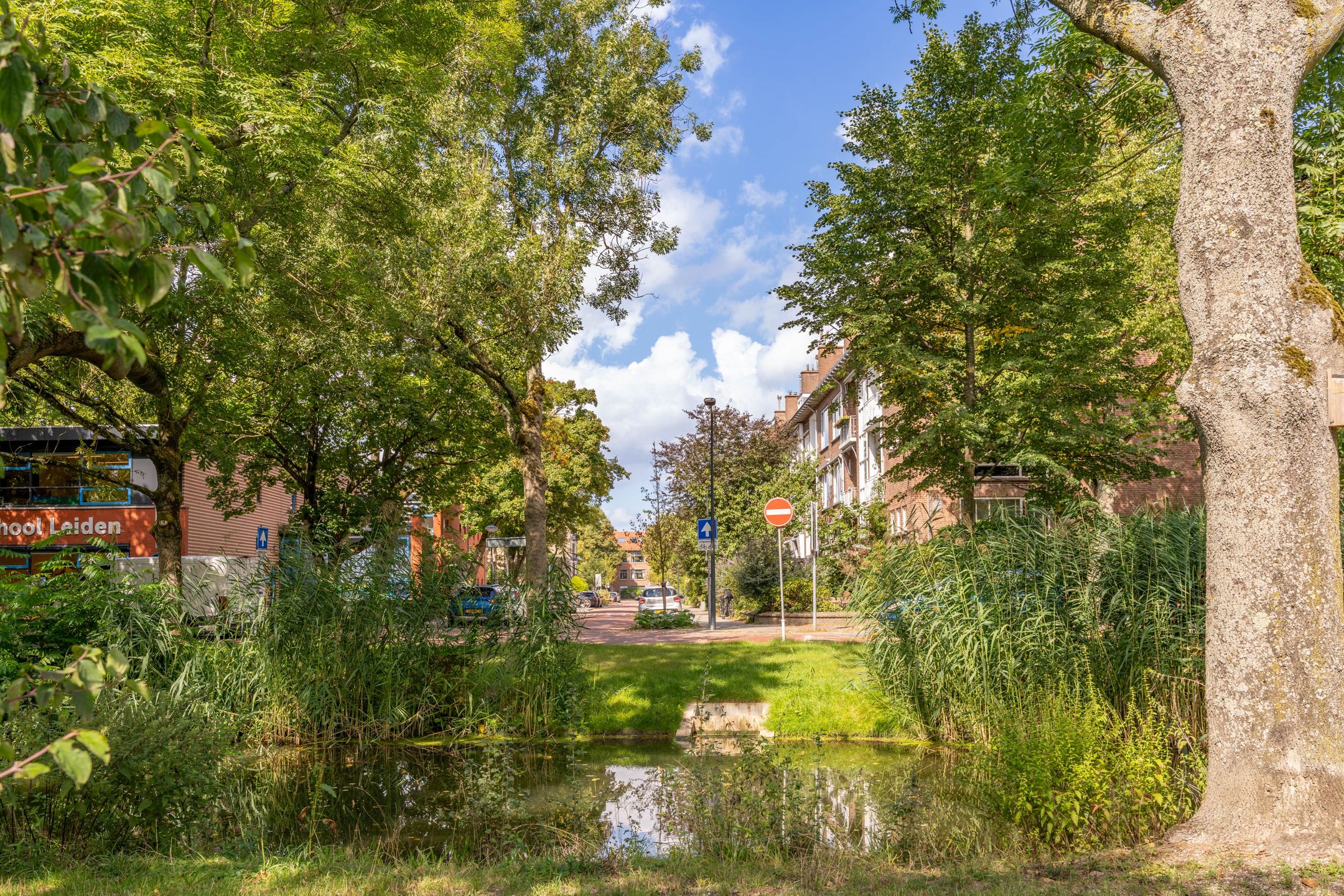 Photo 42 of Scholtenstraat 66