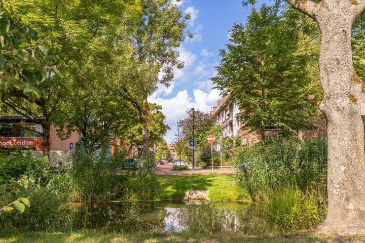 Foto 42 van Scholtenstraat 66