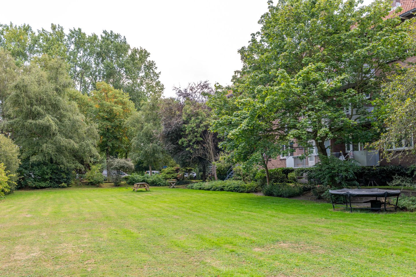 Photo 44 of Scholtenstraat 66