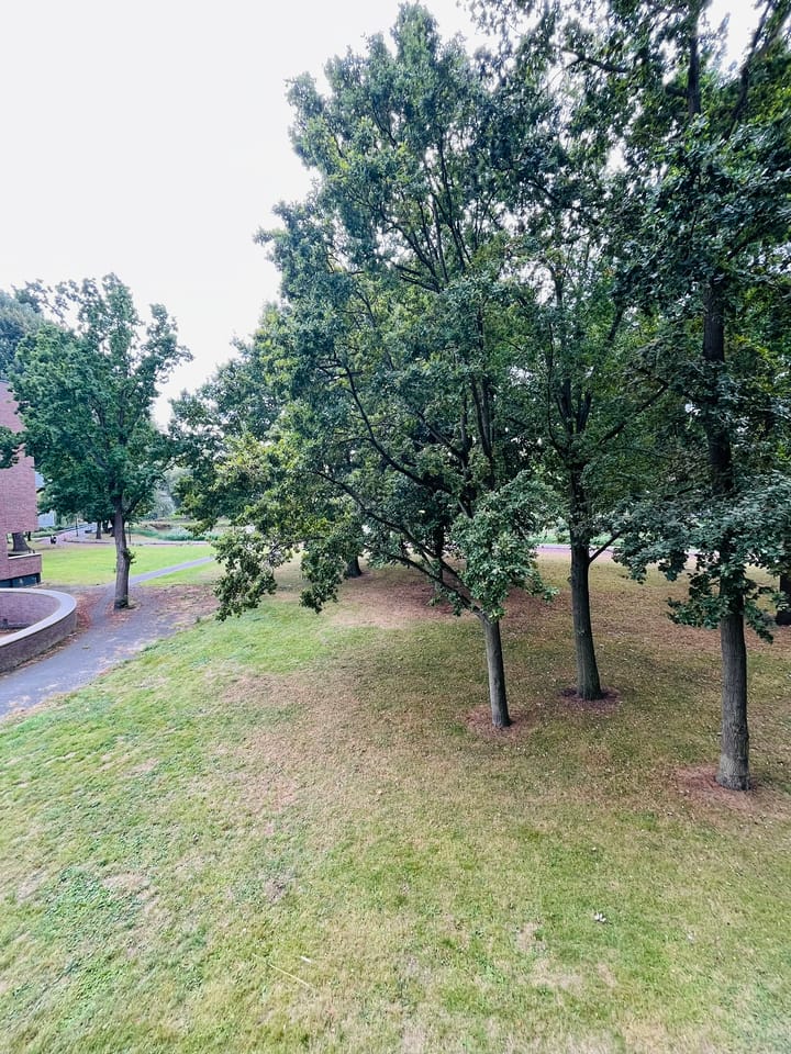 Photo 24 of Glitterstraat 104