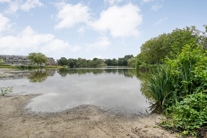 Foto 28 van Engelsmanplaat 112