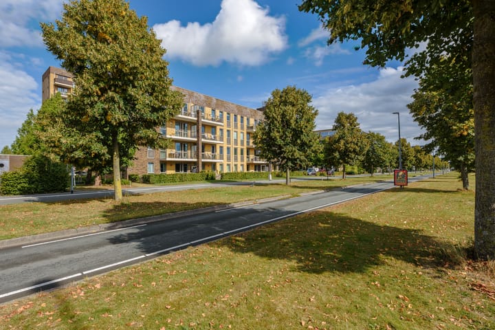 Foto 5 van Tempo Doeloestraat 239