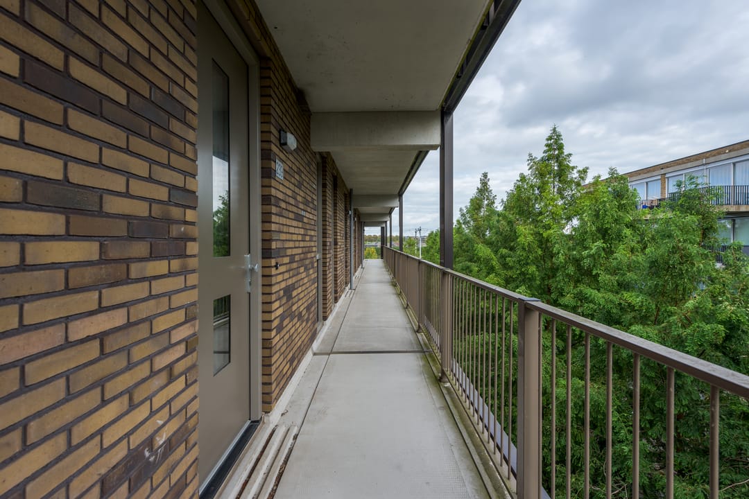 Photo 13 of Tempo Doeloestraat 239