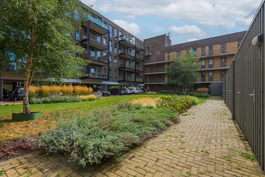 Photo 46 of Tempo Doeloestraat 239