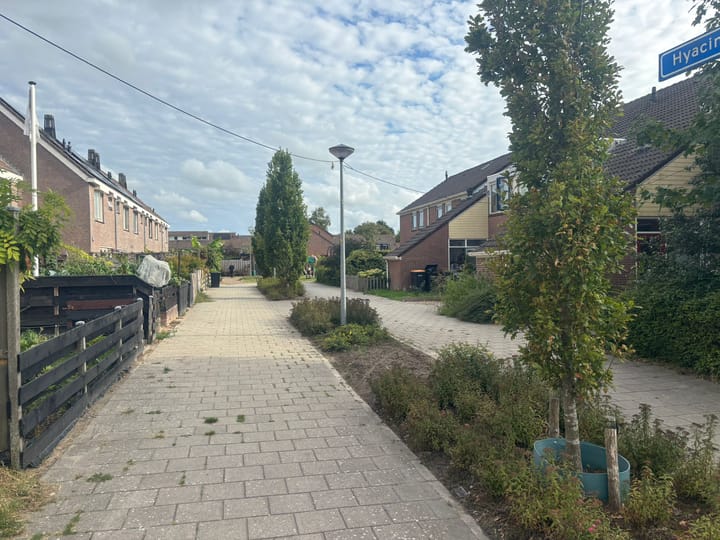 Foto 4 van Hyacintlaan 2