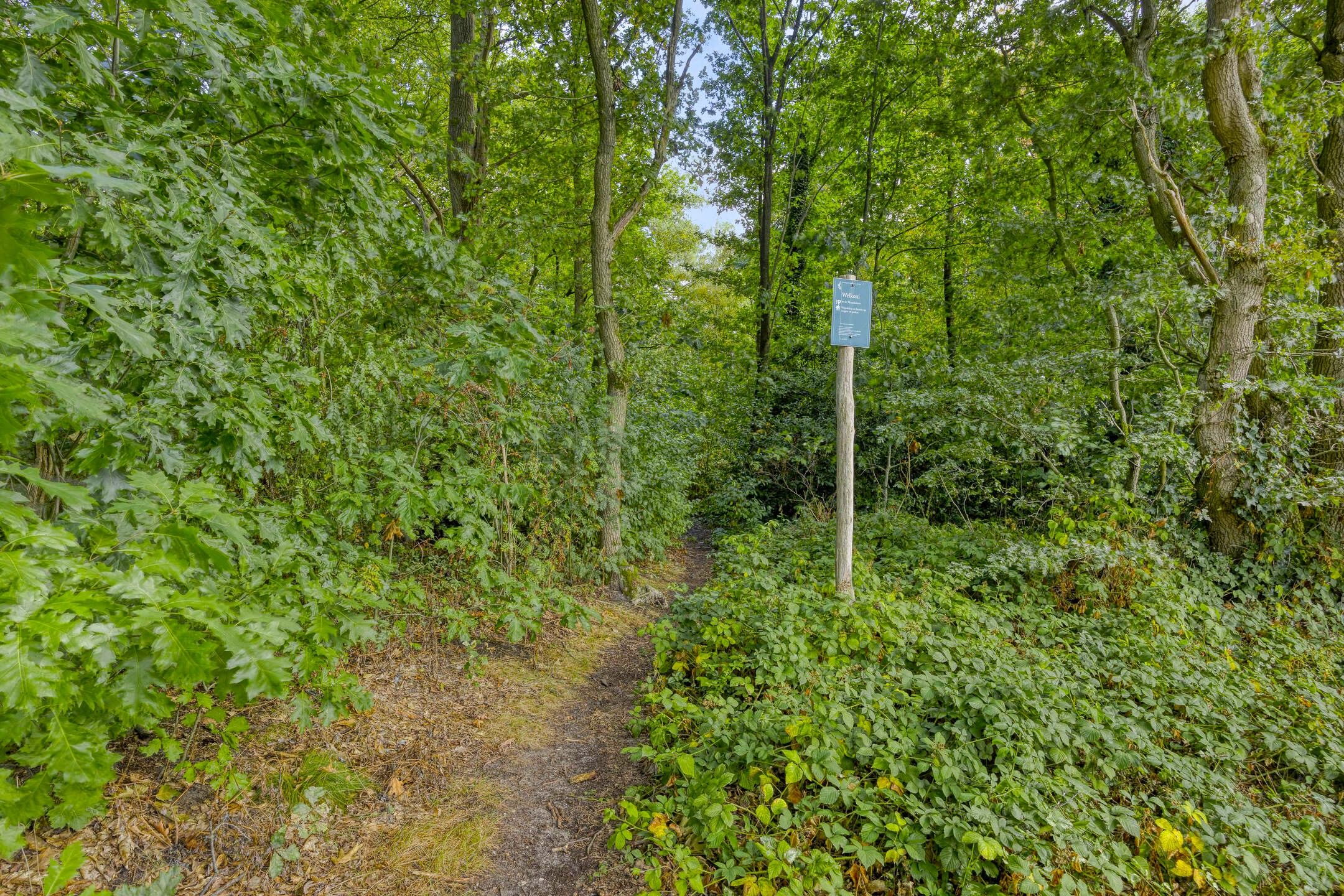 Photo 45 of Fazantstraat 31