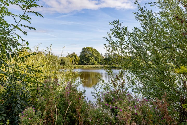 Foto 40 van Sidelingeplein 206