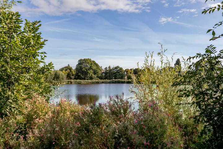 Foto 41 van Sidelingeplein 206