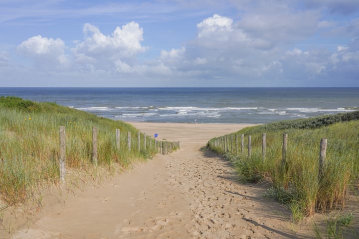 Photo 4 of Noordzeestraat 21