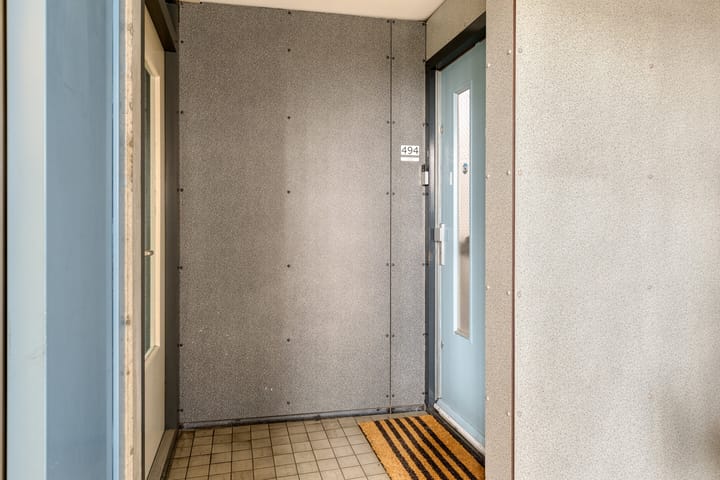 Foto 7 van Zuidplein 494