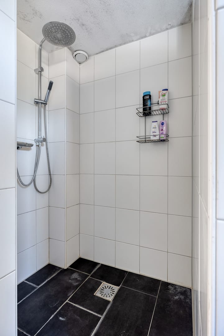 Foto 26 van Laan van de Bork 718