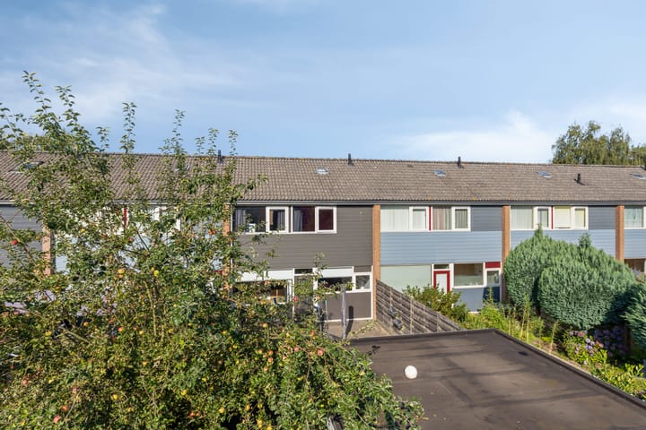 Foto 40 van Laan van de Bork 718