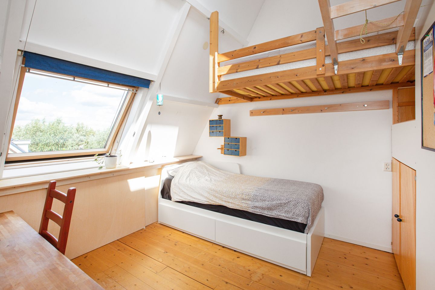 Foto 40 van Van Vegtenplantsoen 7