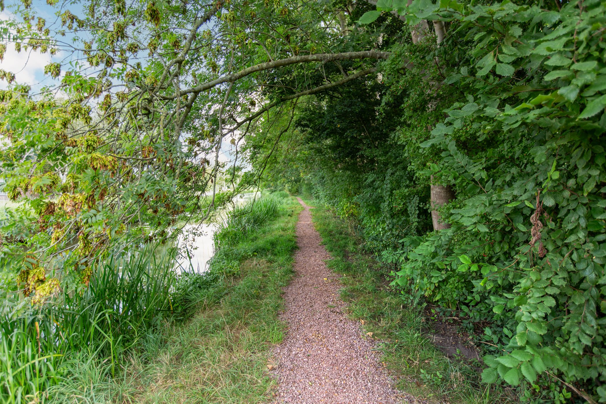 Foto 48 van Van Vegtenplantsoen 7