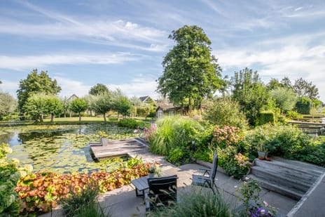 Korenbloem 4 tertiary image