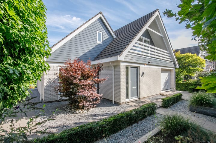 Korenbloem 4 main image