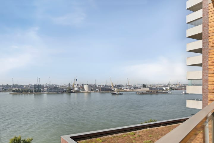 Photo 33 of Loods Holland 45