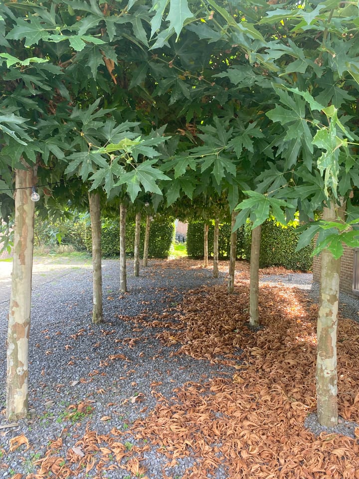 Photo 27 of Arkemheenseweg 6