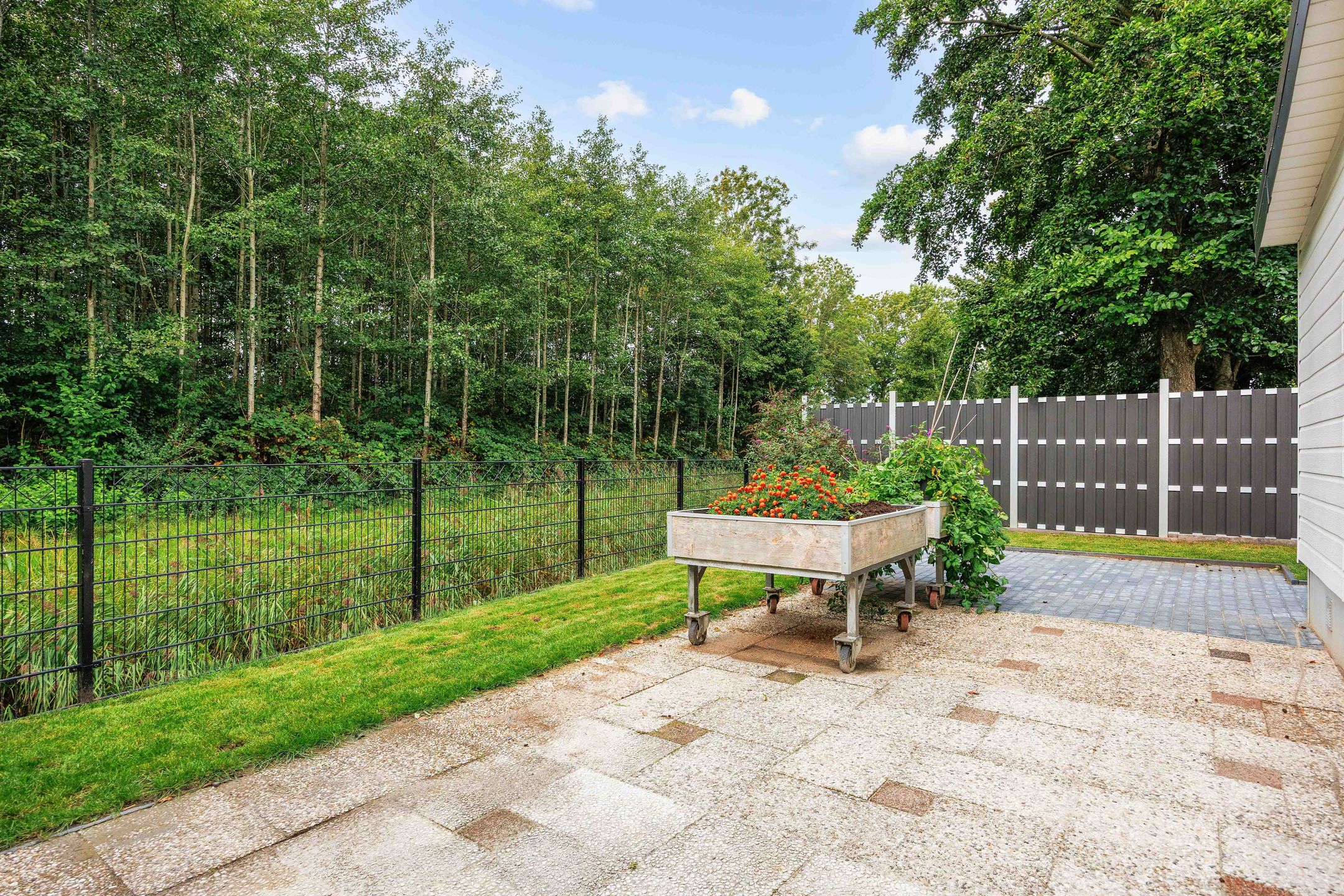 Foto 33 van Vogels' tún 72