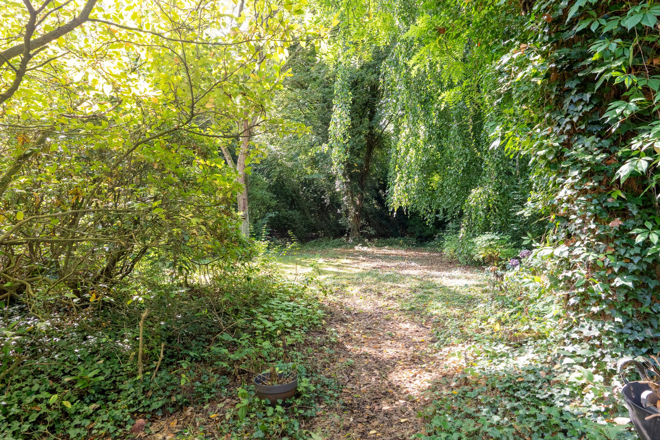 Foto 36 van Achter de Smidse 9