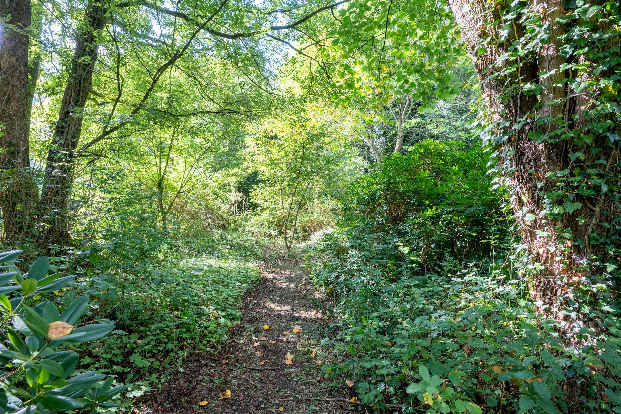 Foto 39 van Achter de Smidse 9