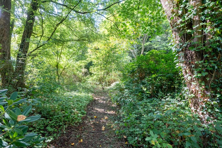 Foto 39 van Achter de Smidse 9