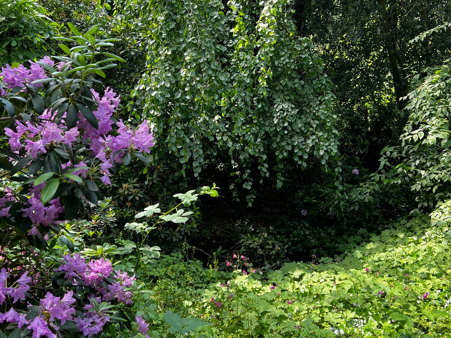 Foto 40 van Achter de Smidse 9