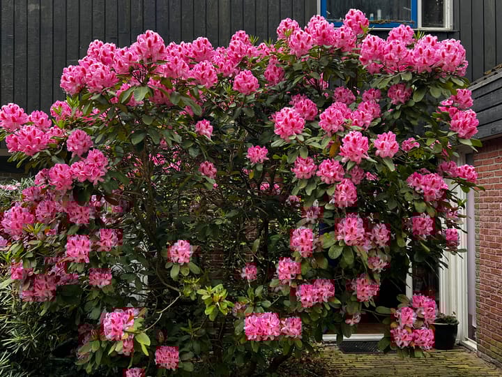 Foto 41 van Achter de Smidse 9