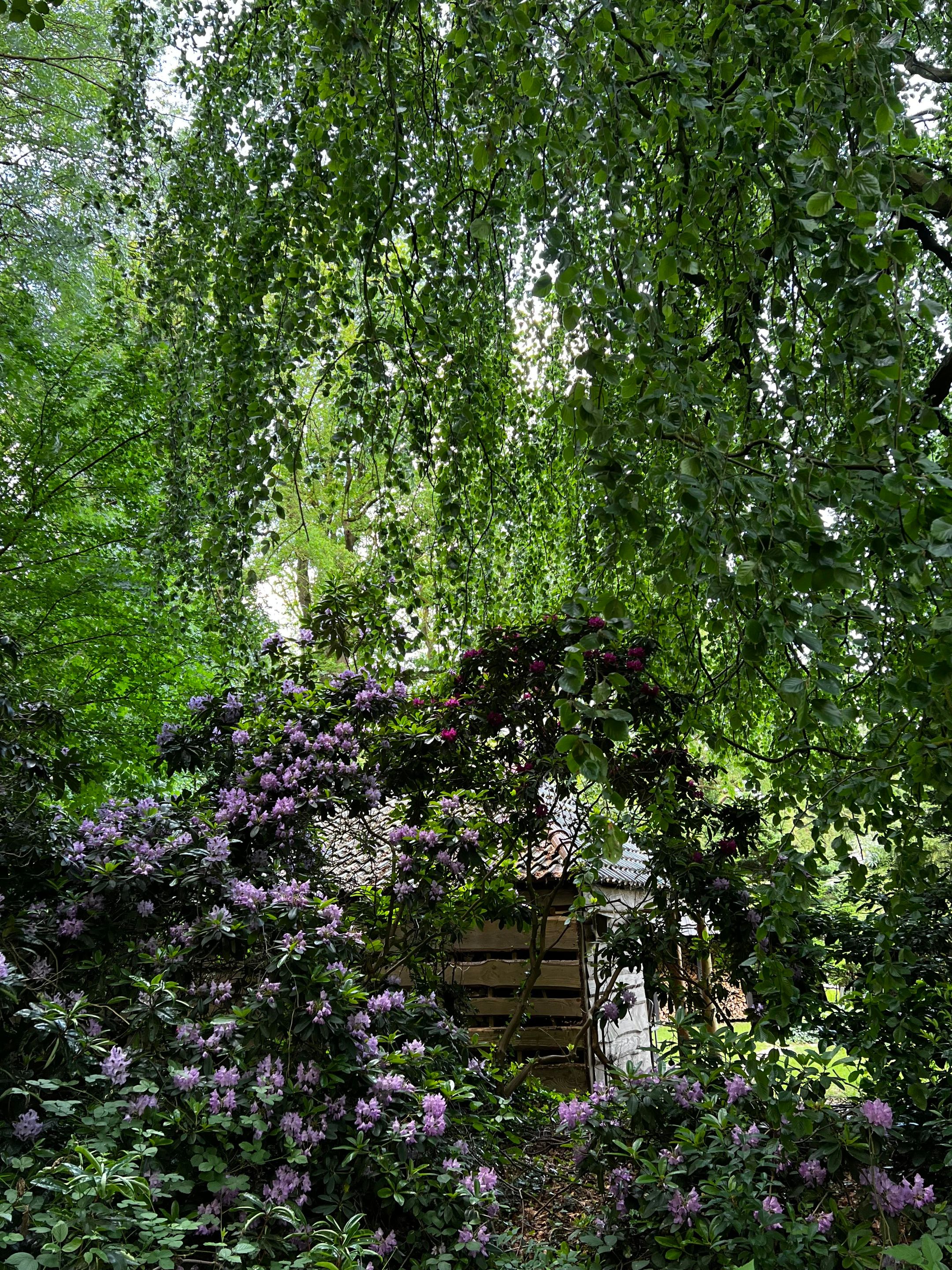 Foto 42 van Achter de Smidse 9