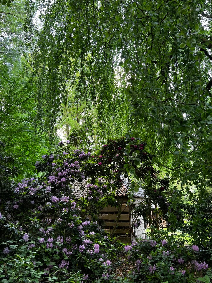 Foto 42 van Achter de Smidse 9