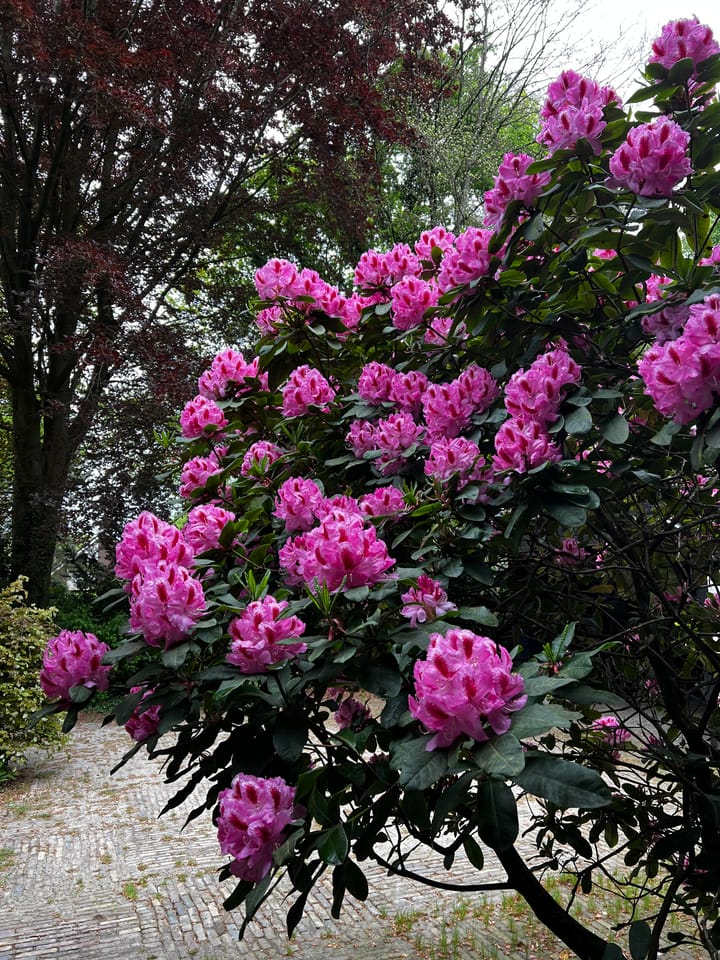 Foto 43 van Achter de Smidse 9