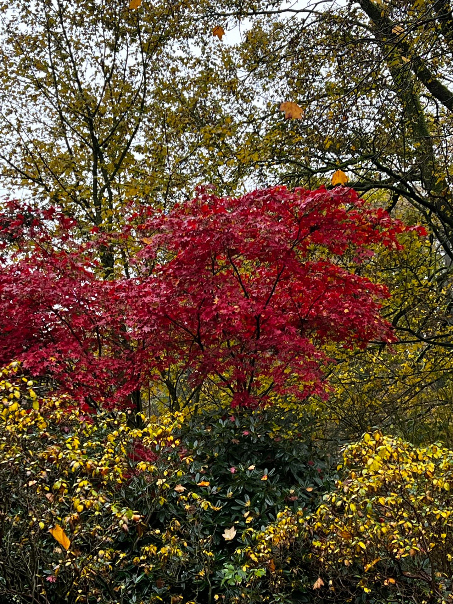 Foto 44 van Achter de Smidse 9