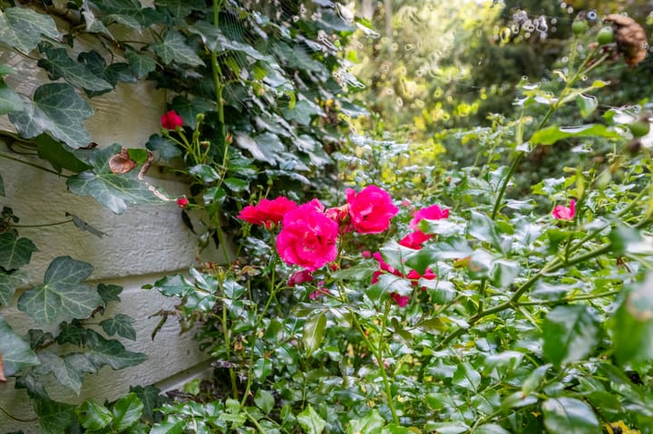 Foto 45 van Achter de Smidse 9