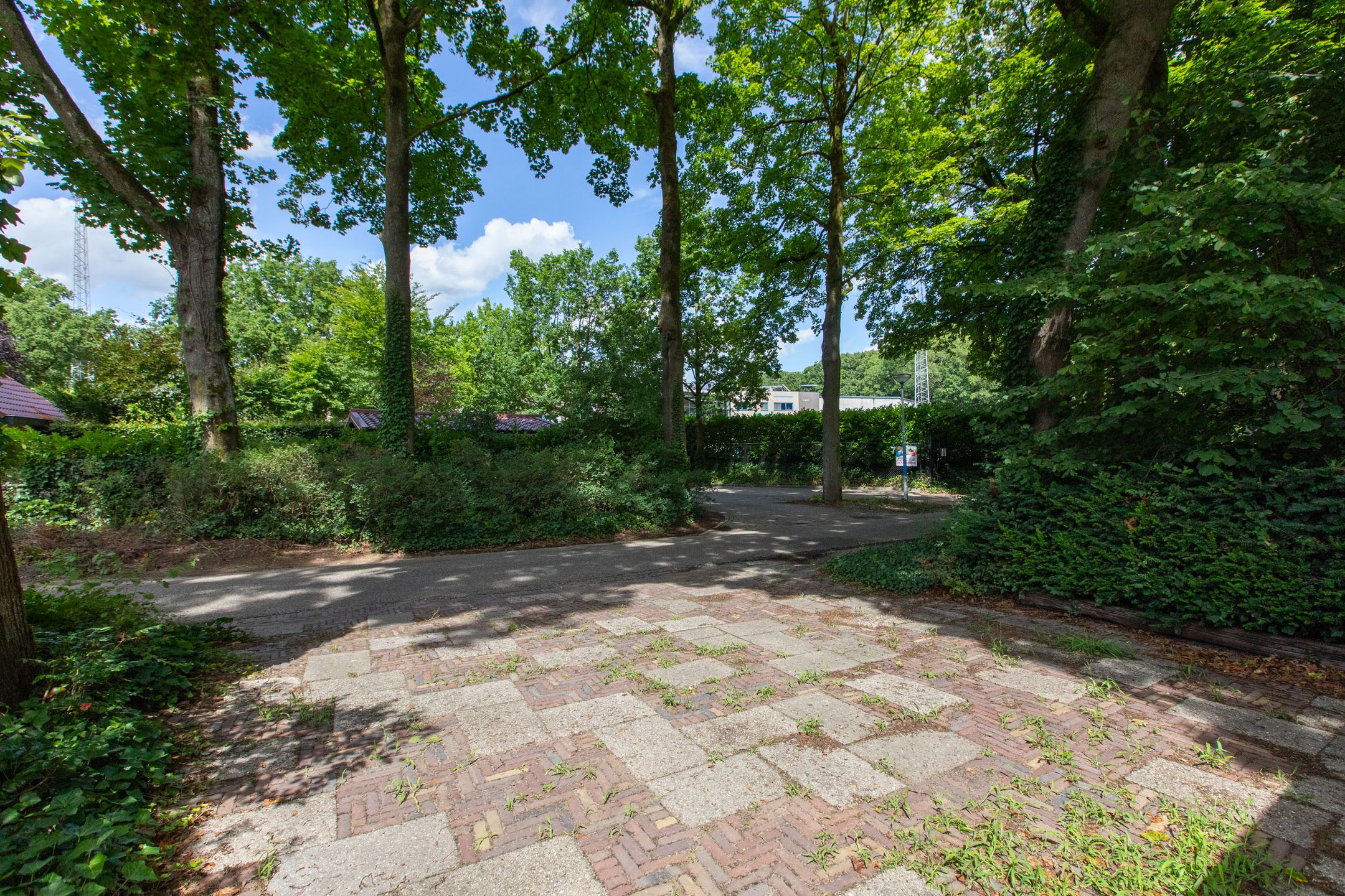 Foto 81 van Lijsterbeslaan 113