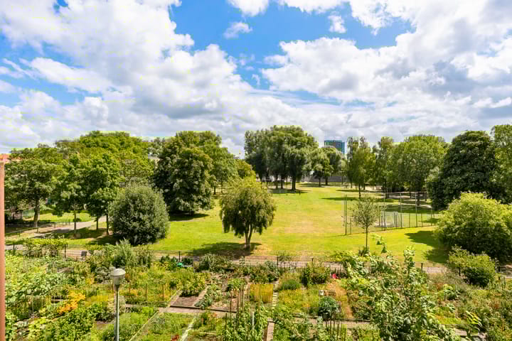 Photo 29 of President Steijnstraat 43-C