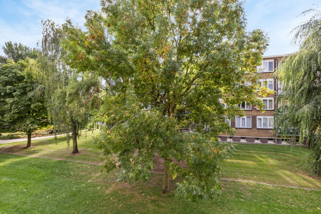 Photo 22 of J.H.Leopoldhof 68